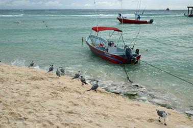 Playa-del-Carmen-Citytour,_DSC_6035_b_H600Px