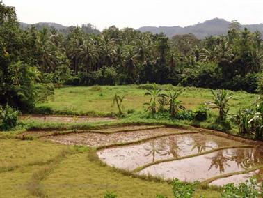 Bandarawela_to_Colombo,_DSC07102B_H600
