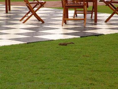 Colombo_sightseeing,_DSC05709B_H600