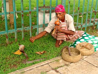 Colombo_sightseeing,_DSC05766B_H600