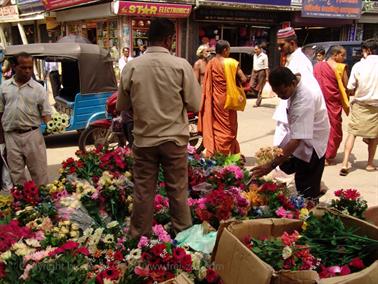 Colombo_sightseeing,_DSC05830B_H600