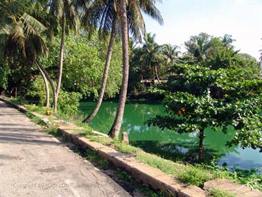 Colombo_to_Negombo,_DSC05930B_H600