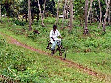 Colombo_to_Negombo,_DSC05933B_H600