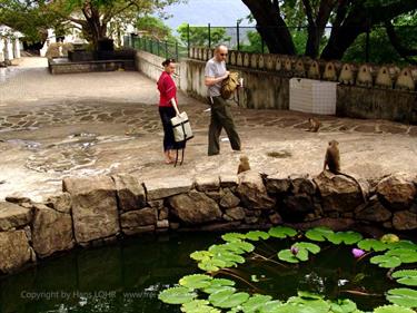 Dambulla_monastery,_Spicy-Farm,_Kandy,_DSC06344B_H600