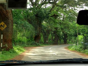Dambulla_monastery,_Spicy-Farm,_Kandy,_DSC06372B_H600