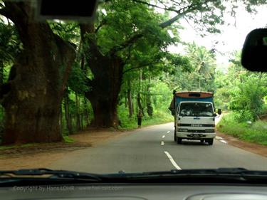 Dambulla_monastery,_Spicy-Farm,_Kandy,_DSC06373B_H600