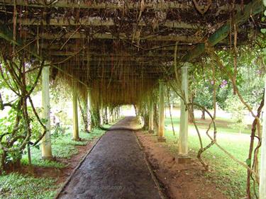 Dambulla_monastery,_Spicy-Farm,_Kandy,_DSC06437B_H600