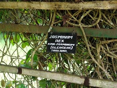 Dambulla_monastery,_Spicy-Farm,_Kandy,_DSC06446B_H600