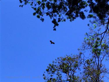 Dambulla_monastery,_Spicy-Farm,_Kandy,_DSC06467B_H600