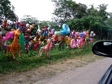 Dambulla_monastery,_Spicy-Farm,_Kandy,_DSC06584B_H600
