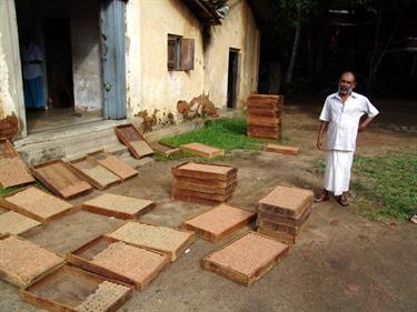Dambulla_monastery,_Spicy-Farm,_Kandy,_DSC06590B_H600