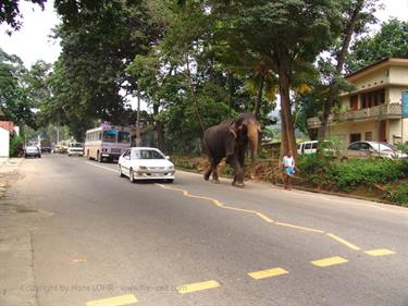 Dambulla_monastery,_Spicy-Farm,_Kandy,_DSC06595B_H600