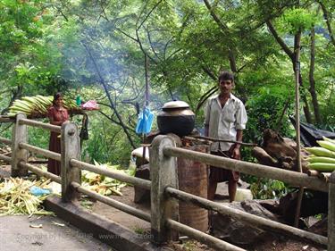 Kandy,_Elephant_camp,_DSC06502B_H600