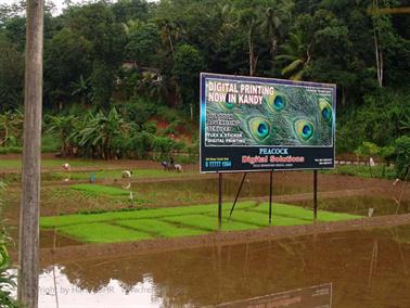 Kandy_to_Nuwara_Eliya,_DSC06791B_H600
