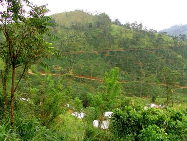 Kandy_to_Nuwara_Eliya,_DSC06811B_H600