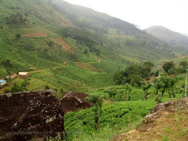 Kandy_to_Nuwara_Eliya,_DSC06849B_H600