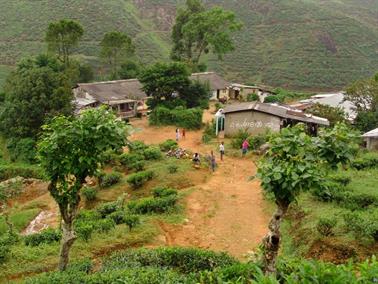 Kandy_to_Nuwara_Eliya,_DSC06856B_H600