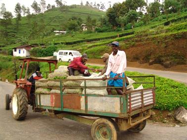 Kandy_to_Nuwara_Eliya,_DSC06861B_H600