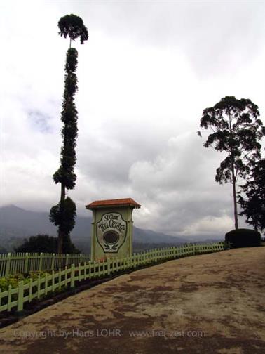Kandy_to_Nuwara_Eliya,_DSC06876B_H600