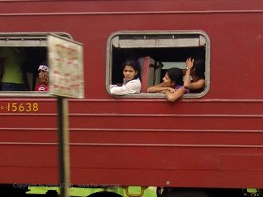 Kandy_to_Nuwara_Eliya,_DSC06888C_H600