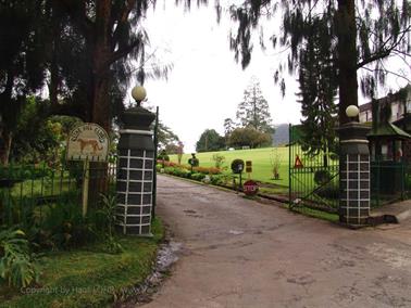 Kandy_to_Nuwara_Eliya,_DSC06905B_H600