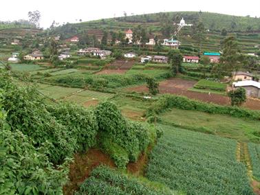 Kandy_to_Nuwara_Eliya,_DSC06911B_H600